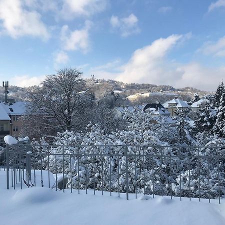 Stadtoase Mit Traumhaftem Ausblick Линц Экстерьер фото